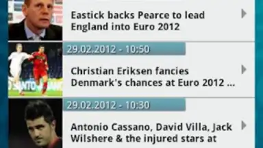 UEFA EURO 2012 by Carlsberg screenshot 1