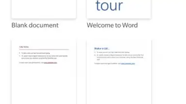 Microsoft Word screenshot 9