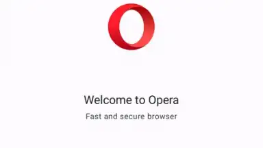 Opera Browser screenshot 1