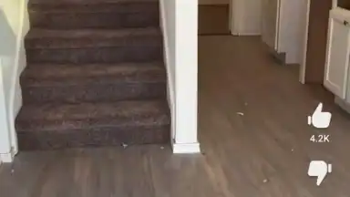 Clapper screenshot 6