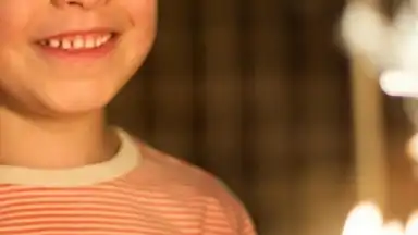 Sony Album screenshot 1