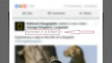 Daily Video Downloader screenshot 3