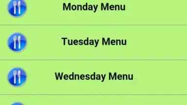 Summer Diet Express screenshot 5