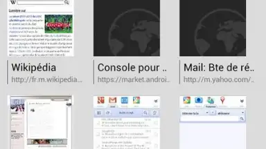 Tint Browser screenshot 4