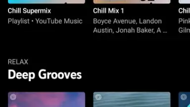 Vanced Music screenshot 2