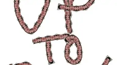 Adobe Brush CC screenshot 4