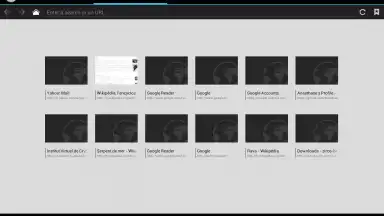 Tint Browser screenshot 2