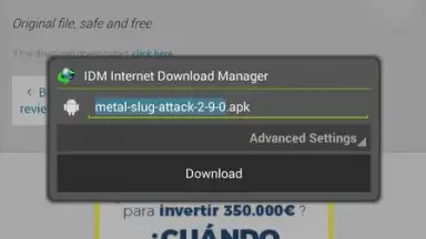 IDM screenshot 7