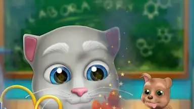 My Talking Bob Cat screenshot 2