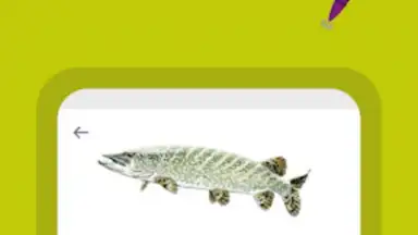 Génération Pêche screenshot 1