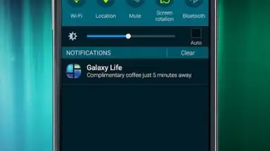 Samsung Galaxy Life screenshot 2