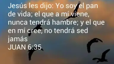Promesas screenshot 7