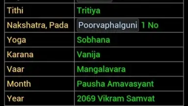 Hindu Calendar screenshot 9
