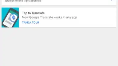 Google Translate screenshot 2