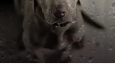 vimage screenshot 5