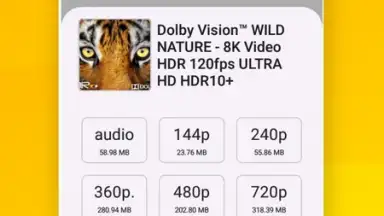 Vidora YouTube Downloader | free & fast screenshot 13