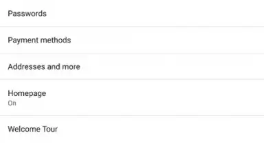 Brave Nightly (devs & testers) screenshot 6