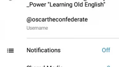 Via Messenger - Unofficial Telegram App screenshot 18