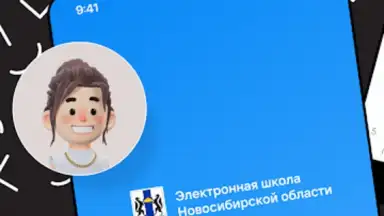 Дневник Новосибирской области screenshot 15
