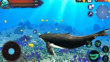 The Humpback Whales screenshot 1