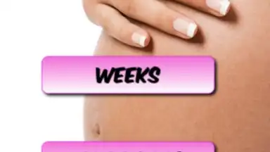 Pregnancy Weekly screenshot 1