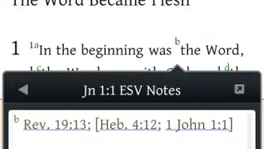 Bible Study screenshot 2