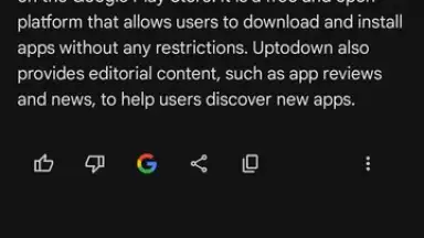 Google Gemini screenshot 13
