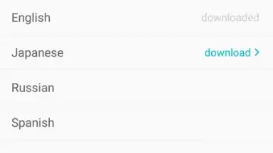 Youdao Translate screenshot 6