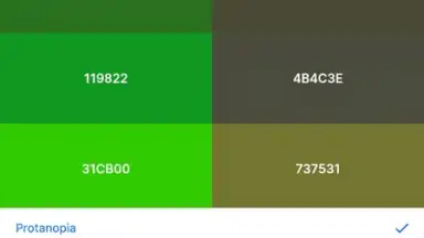 Coolors screenshot 1