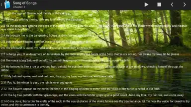 Holy Bible King James Version screenshot 1