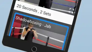 Ultimate MMA Fighting Program screenshot 3