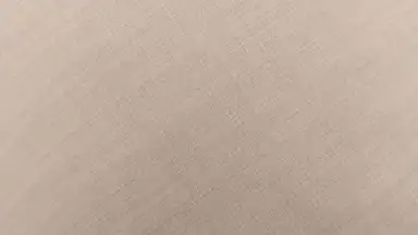 HedgeCam 2 screenshot 4