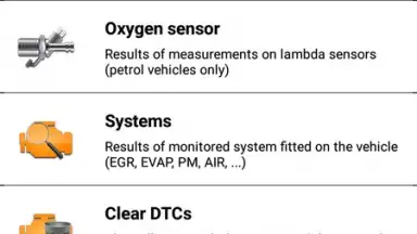 EOBD Facile screenshot 3