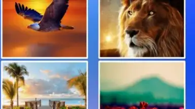 Transparent Screen & Live Wallpaper screenshot 7