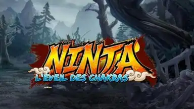 Ninja screenshot 3