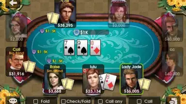 DH Texas Poker screenshot 4