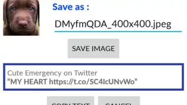Video Downloader for Twitter screenshot 1