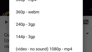 VidCatch screenshot 1
