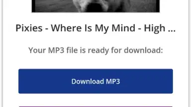 Pick Video downloader screenshot 3