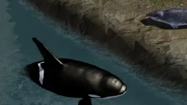 Orca Simulator screenshot 2