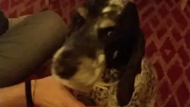 V Camera screenshot 4