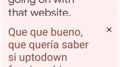 Google Translate screenshot 1