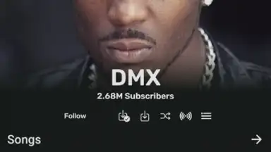 RiMusic screenshot 5