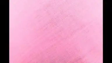 HedgeCam 2 screenshot 2