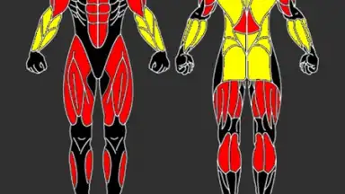 GymUP screenshot 2