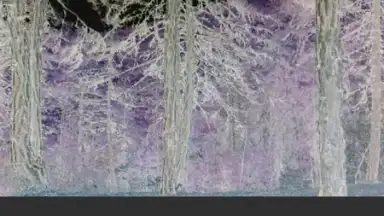 VidTrim - Video Editor screenshot 9