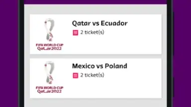 FIFA World Cup 2022™ Tickets screenshot 1