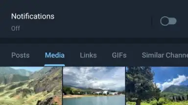 Telegram (Google Play version) screenshot 5