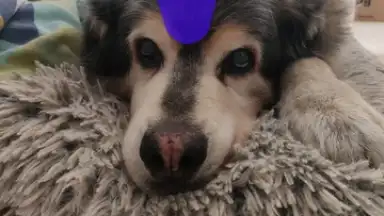 PhotoRoom screenshot 9