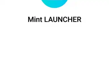 Mint Launcher screenshot 1